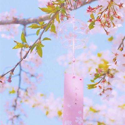 特朗普：伊朗正在“恳求”达成协议 敦促其尽快认真起来